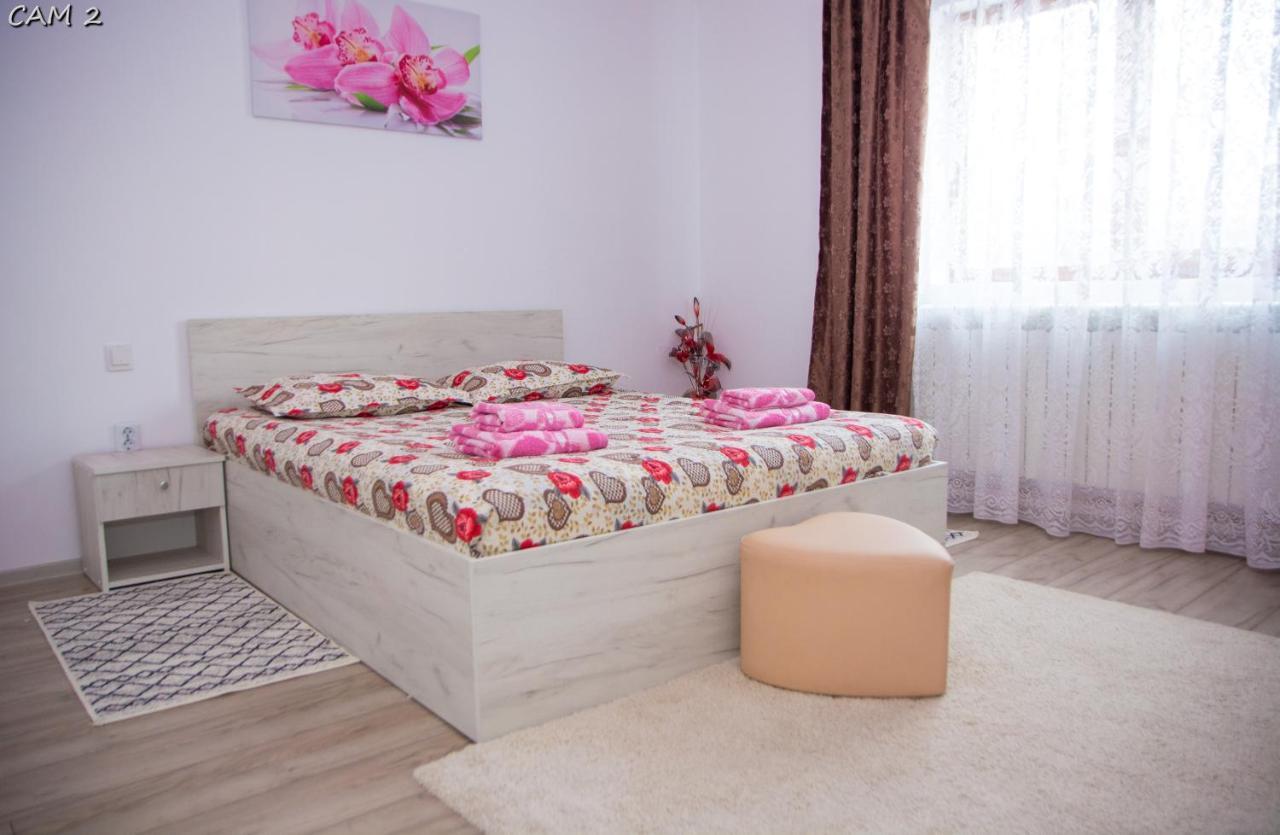 Apartament Casa Stefania 1 Călimăneşti Zewnętrze zdjęcie