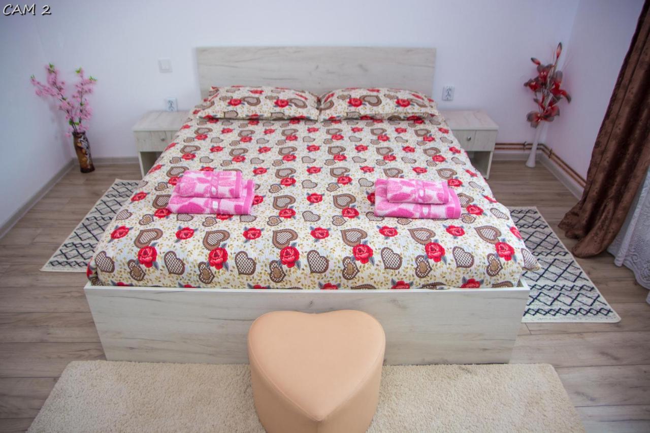 Apartament Casa Stefania 1 Călimăneşti Zewnętrze zdjęcie