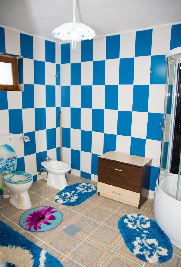 Apartament Casa Stefania 1 Călimăneşti Zewnętrze zdjęcie