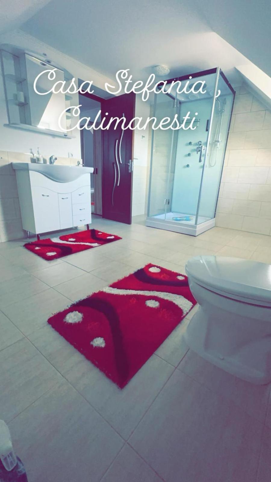 Apartament Casa Stefania 1 Călimăneşti Zewnętrze zdjęcie