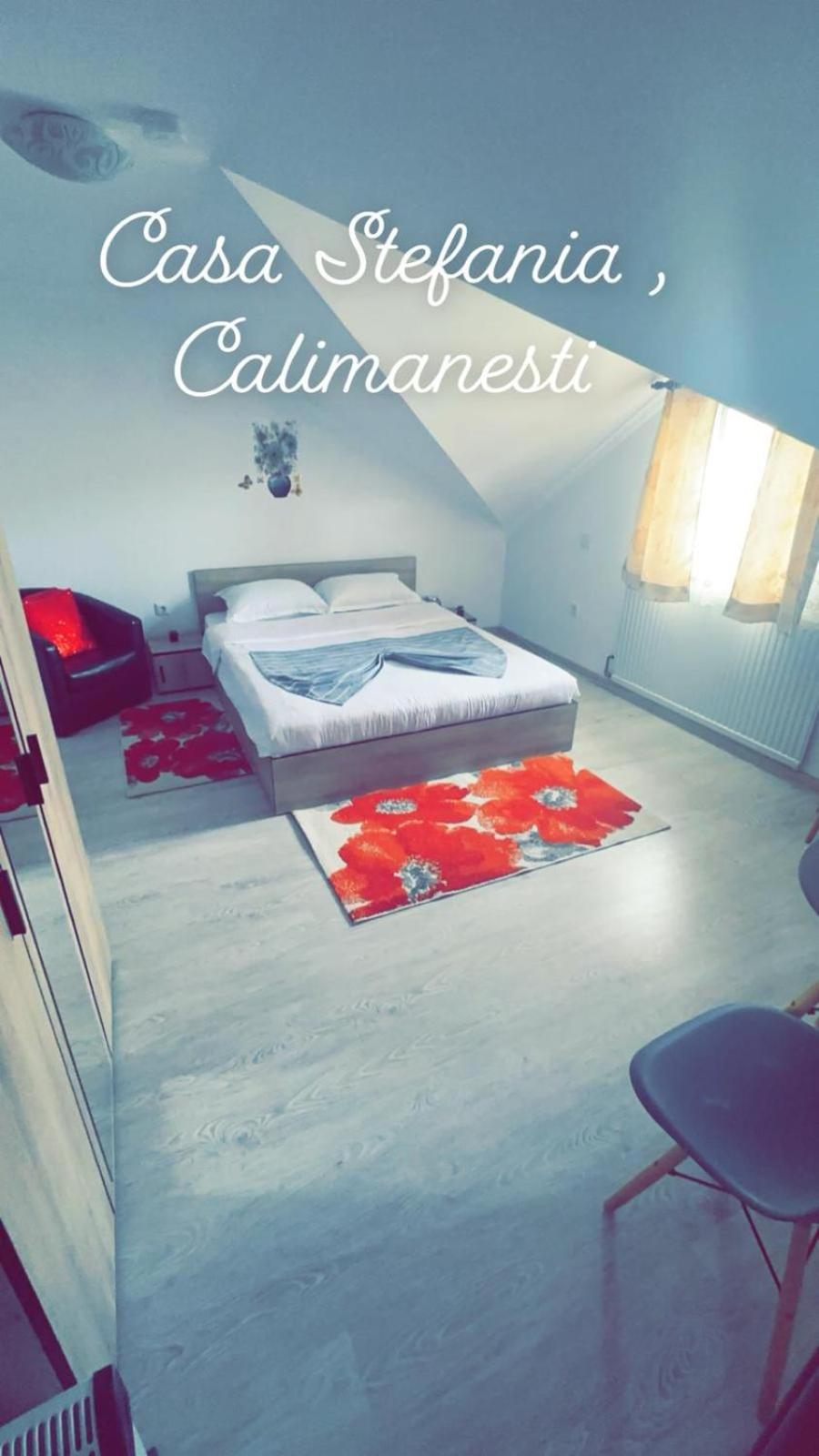 Apartament Casa Stefania 1 Călimăneşti Zewnętrze zdjęcie