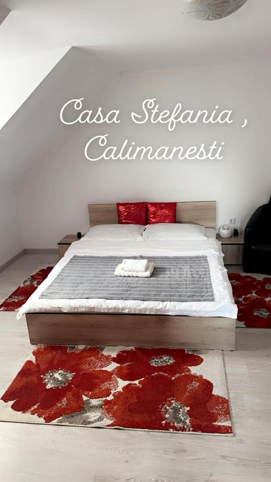 Apartament Casa Stefania 1 Călimăneşti Zewnętrze zdjęcie
